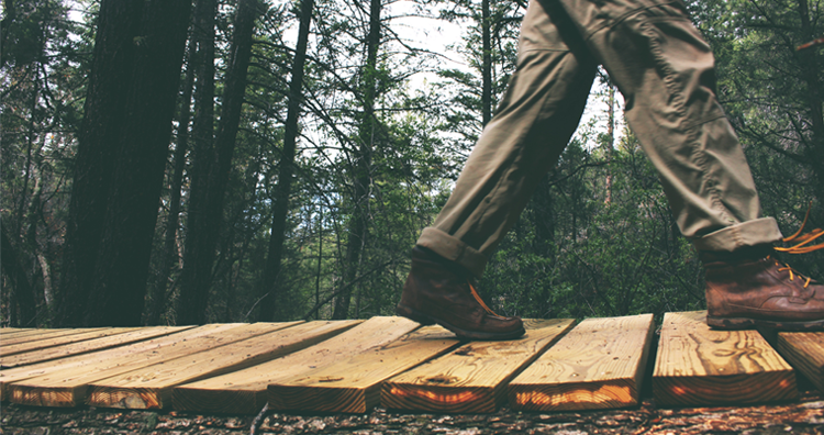 8 Things to Do in the Ann Arbor Area for Outdoor Enthusiasts